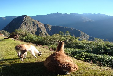vacaciones en perú